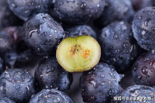 国产蓝莓怎么洗干净视频,国产蓝莓清洗视频详解