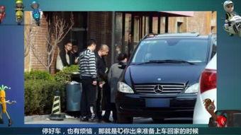 国产路虎爬山视频,征服崎岖山路，震撼展示越野实力