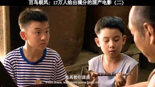 国产百鸟在线视频观看,在线观看百鸟在线的精彩瞬间