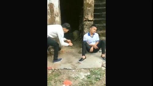 国产乡村无码视频播放,揭秘国产无码视频背后的真实故事