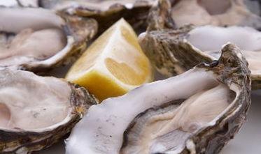 国产白砖生蚝好吃吗视频 第2张 国产白砖生蚝好吃吗视频 第2张