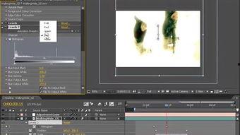 国产顶尖特效视频软件,揭秘顶尖视频软件的神奇魅力