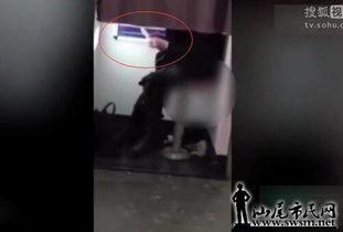 国产女人大便视频大全