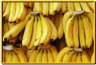 大香蕉 国产福利视频,揭秘国产福利视频的精彩世界  第3张